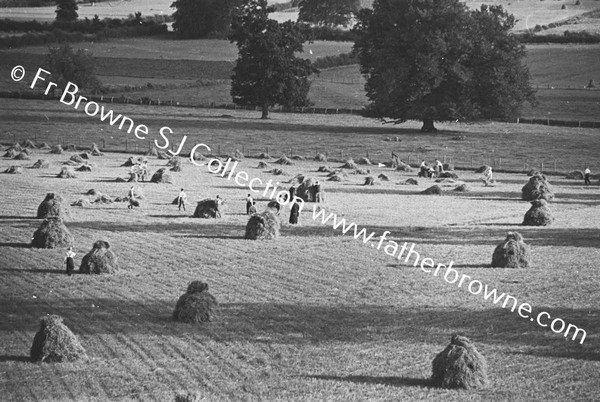 NOVICES HARVESTING IN FRONT OF HOUSE